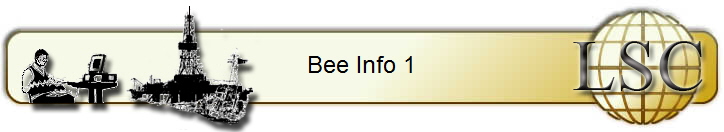Bee Info 1